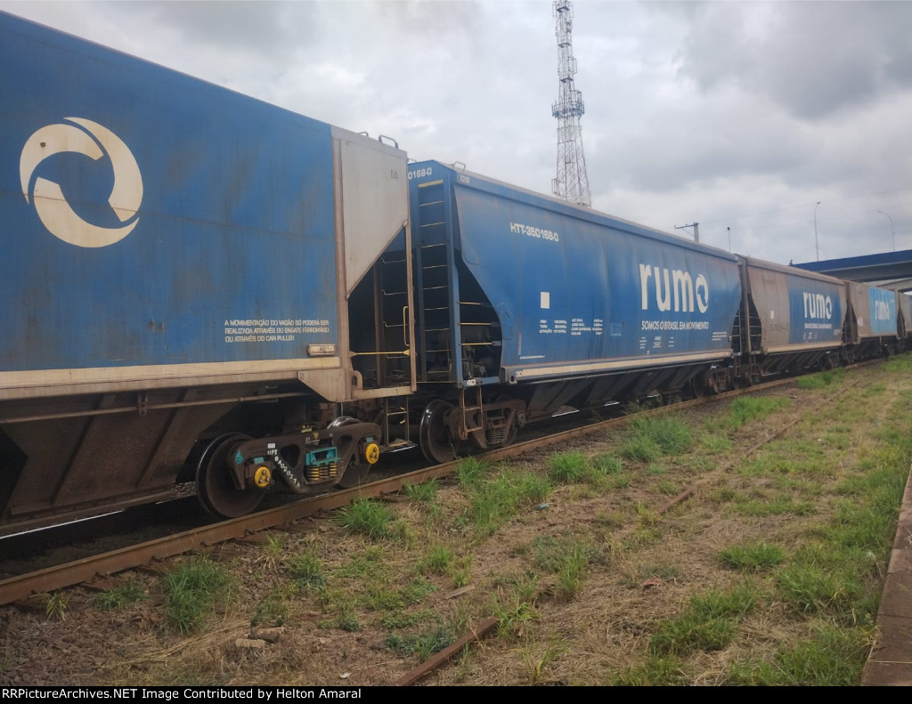 RUMO HTT-350168-0